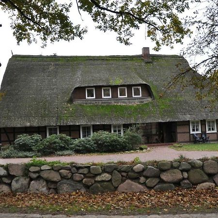 Апартаменты Reit- Und Bauernhof Klaucke Trebel Экстерьер фото