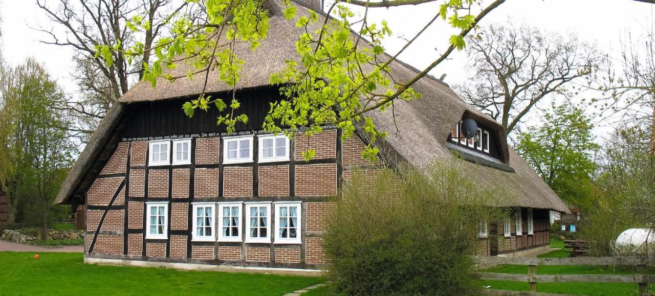 Апартаменты Reit- Und Bauernhof Klaucke Trebel Экстерьер фото