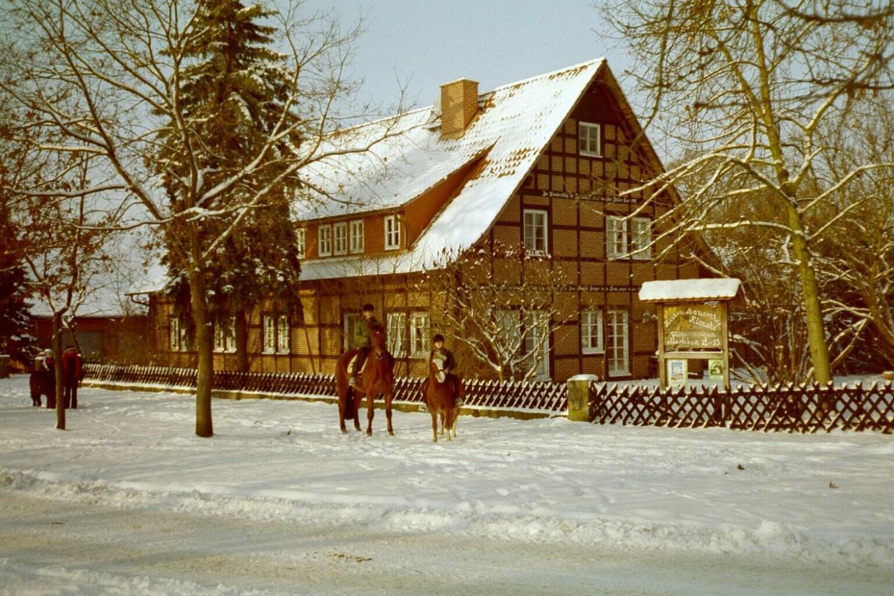 Апартаменты Reit- Und Bauernhof Klaucke Trebel Экстерьер фото
